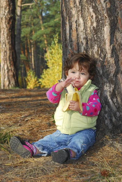 V lese pod borovice strom sedí krásná malá kudrnatá g — Stock fotografie